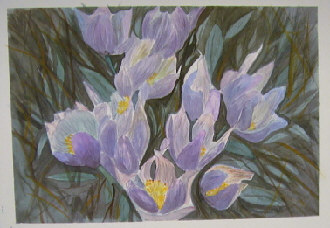 Water colour - Irises