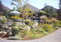 Japanese Garden at the back of the Village Centre